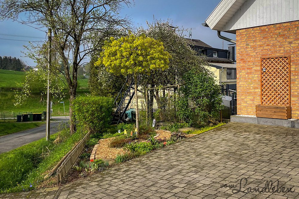 Unser Vorgarten im April 2024