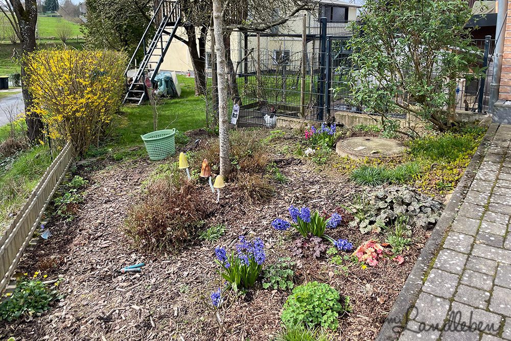 Vorgarten im März 2024
