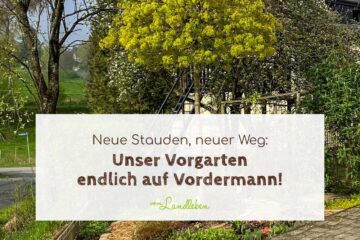Umgestaltung vom Vorgarten