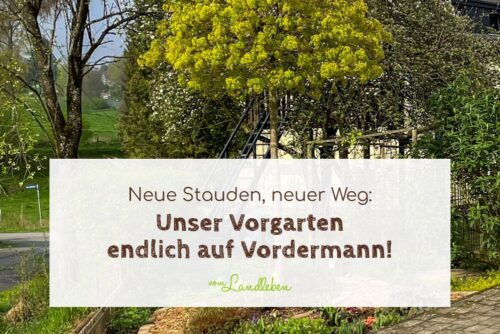 Umgestaltung vom Vorgarten