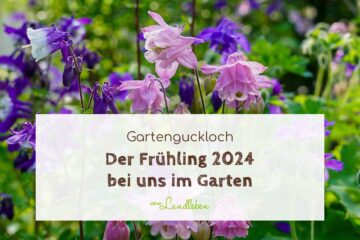 Der Frühling 2024 bei uns im Garten