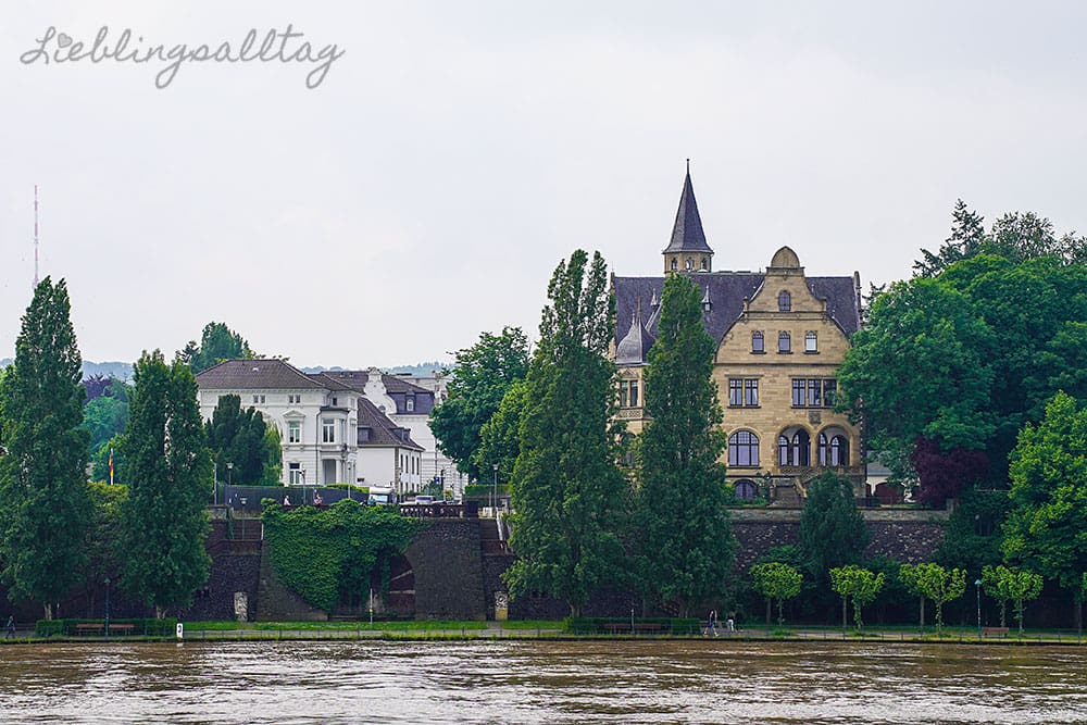 Villa Hammerschmidt und Villa Spiritus in Bonn