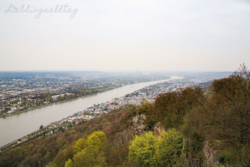 Blick vom Drachenfels auf den Rhein