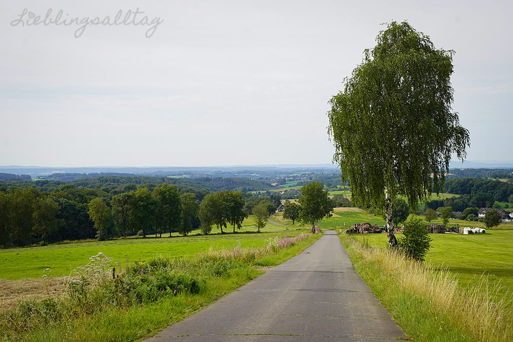 Blick vom Heckberg