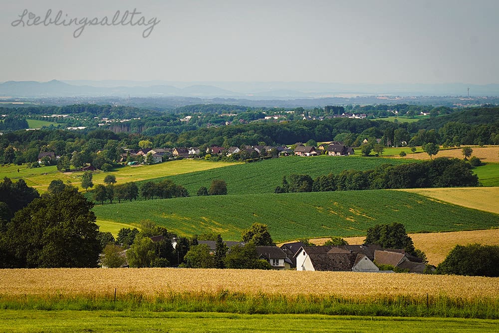 Panoramablick vom Heckberg