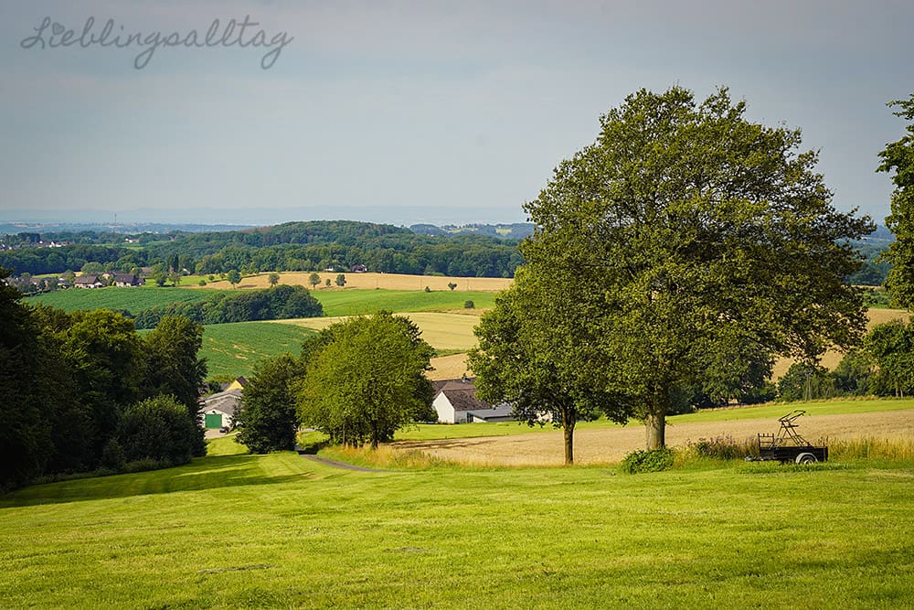 Panoramablick vom Heckberg