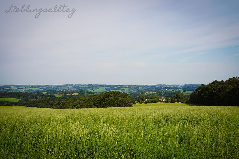 Panoramablick vom Heckberg