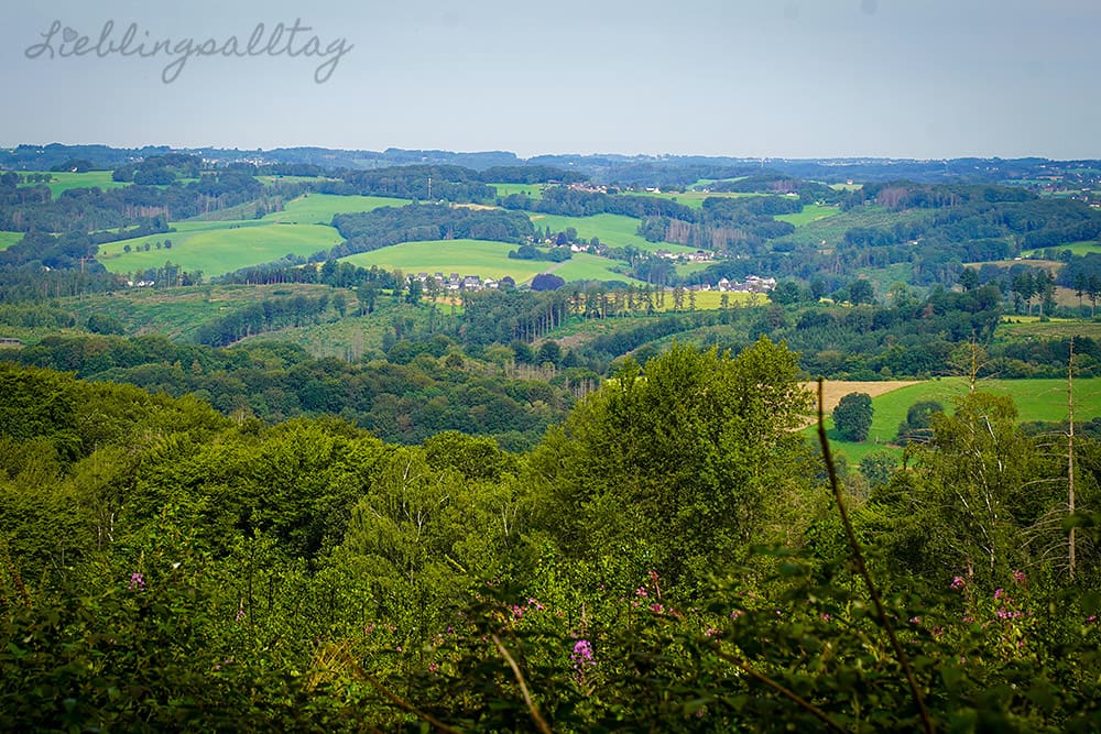 Panoramablick bei Federath