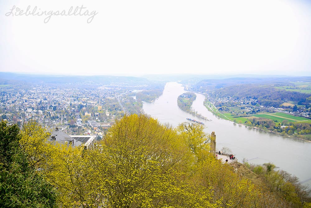 Blick auf den Rhein und Insel Nonnenwerth