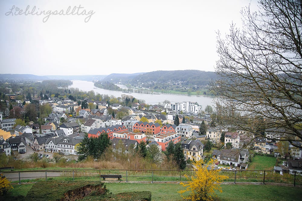 Blick auf den Rhein und Insel Nonnenwerth