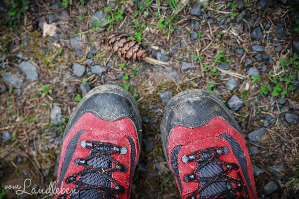 Rheinsteig-Wanderung zum Drachenfels