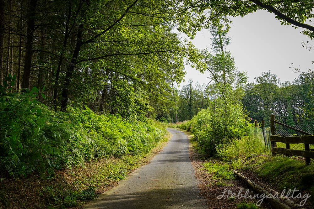 Weg auf den Heckberg