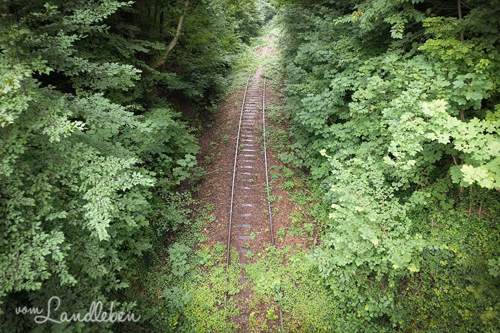 Gleise der Wiehltalbahn bei Remperg
