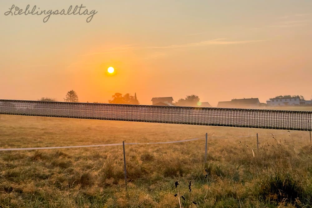 Sonnenaufgang an der Pferdewiese