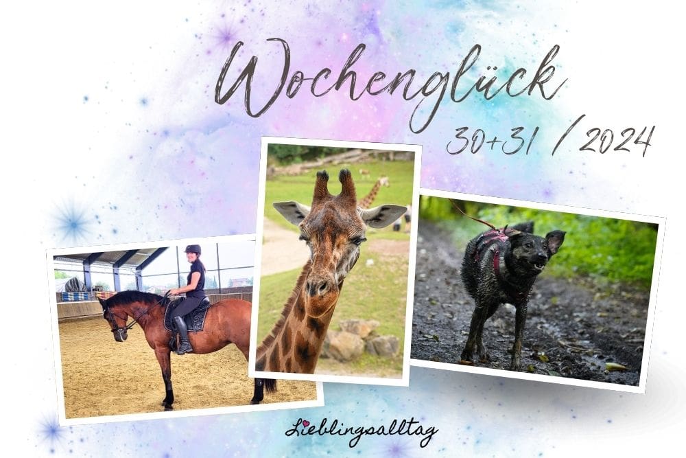 Wochenglück 30+ 31 / 2024