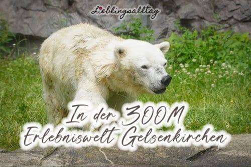 In der ZOOM Erlebniswelt Gelsenkirchen