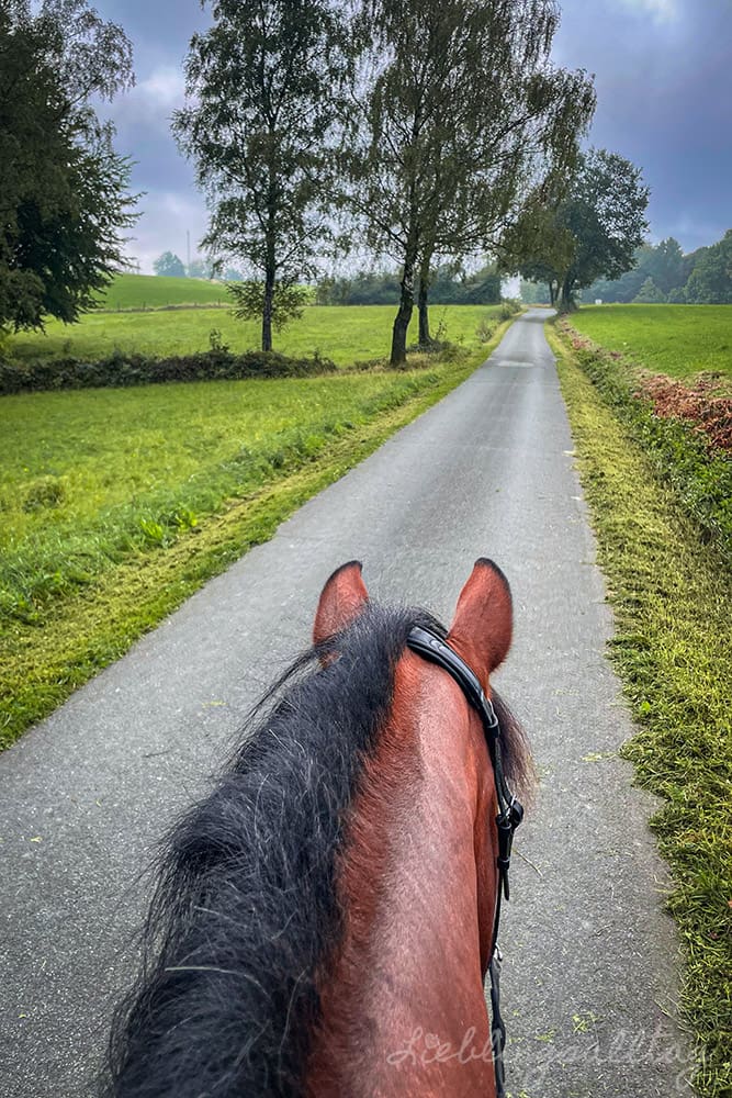 Ausreiten mit Dolida