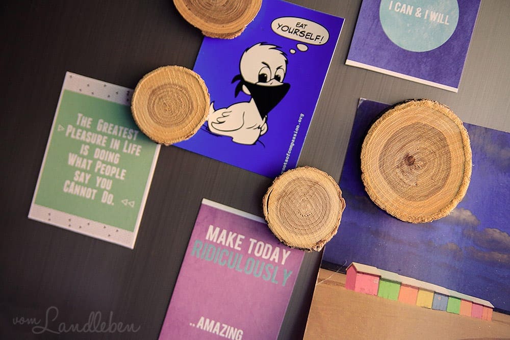 DIY: Magnete aus Holzscheiben