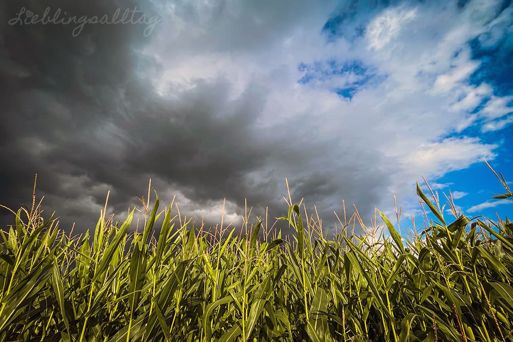 Dramatische Regenwolken