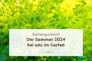 Der Sommer 2024 bei uns im Garten