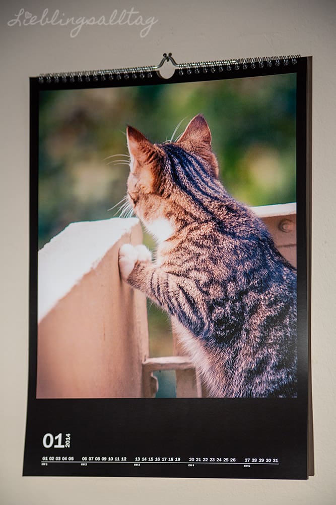 Selbstgestalteter Fotokalender von Cewe
