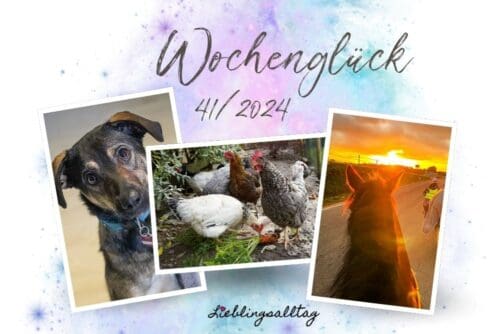 Wochenglück 41/2024