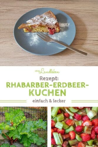 Rezept für Rhabarber-Erdbeer-Kuchen