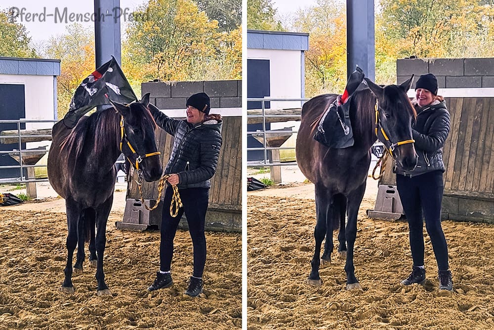 Gelassenheitstraining mit Feli im November 2024