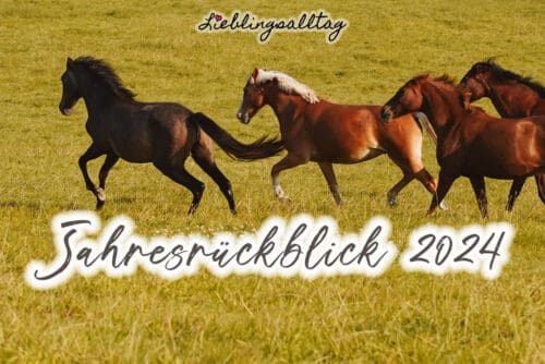 Jahresrückblick 2024