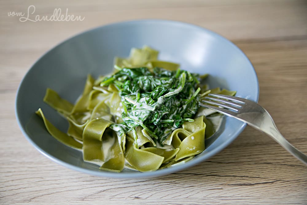 Nudeln mit Spinat-Gorgonzola-Soße
