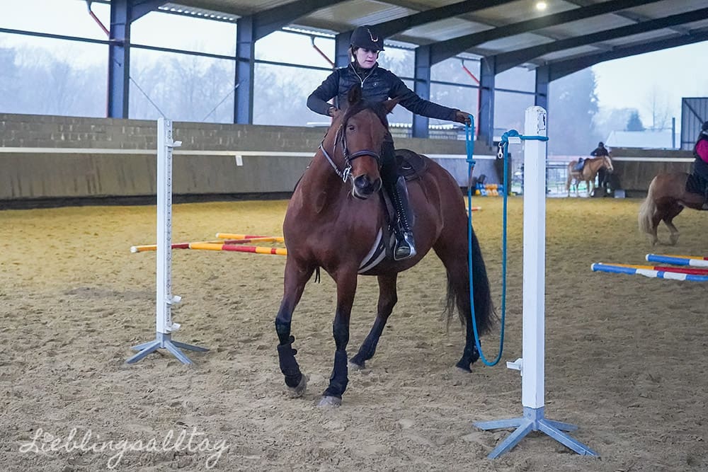 Trailparcours reiten mit Dolida