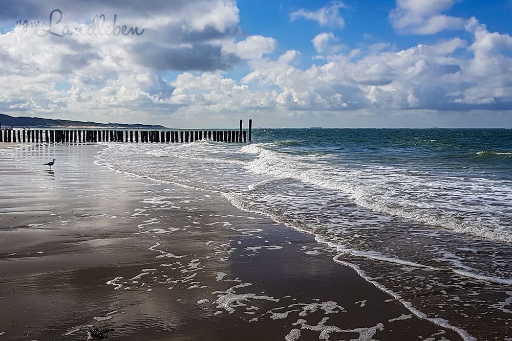 Am Strand in Zoutelande - Juni 2019