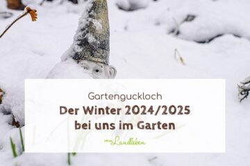 Der Winter 2024/2025 bei uns im Garten