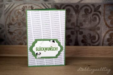 Kartengebastel: Geburtstagskarte Nerd mit Hund