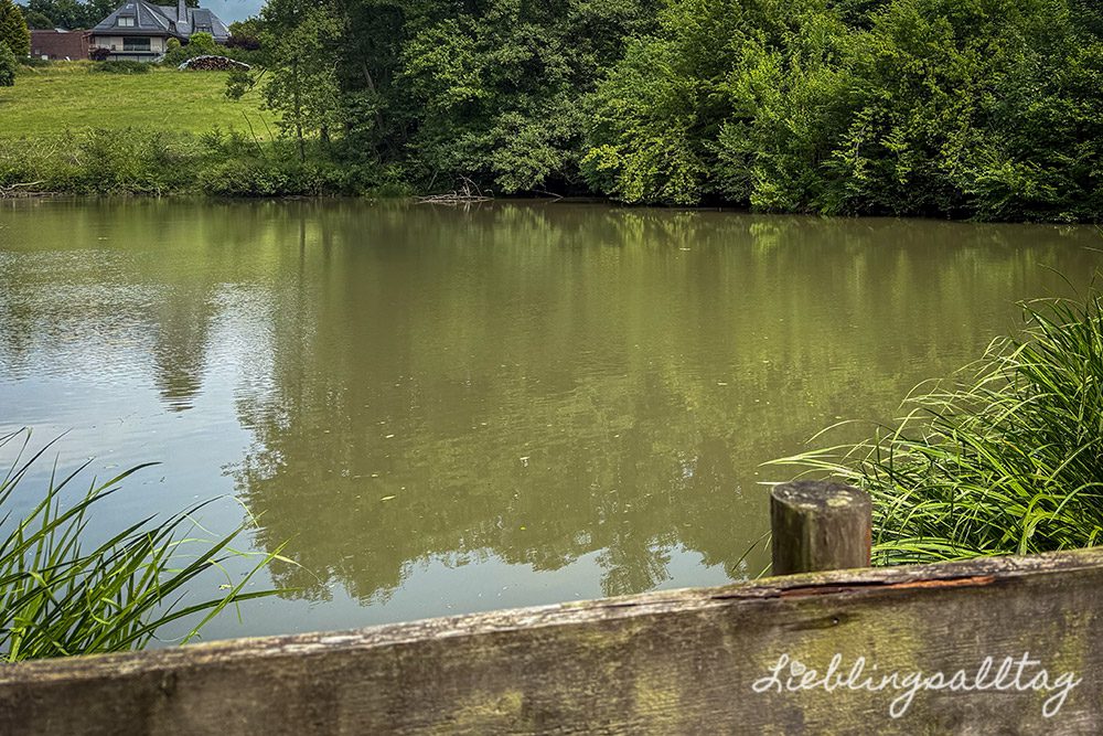 Teich der Hammerschmiede Oelchenshammer