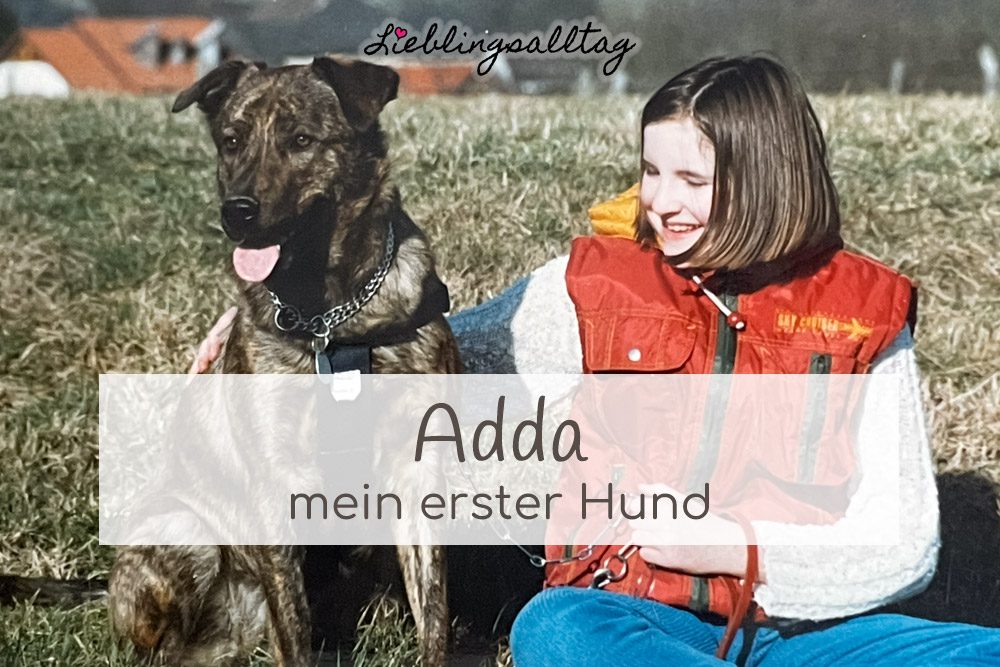 Adda – mein erster Hund