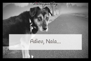 Adieu, Nala...