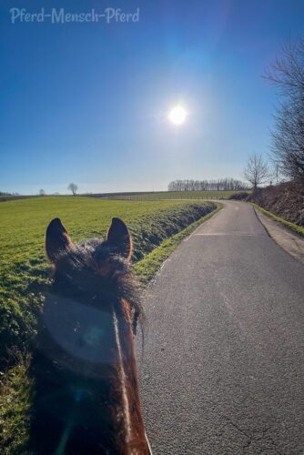 Ausreiten mit Dolida – Februar 2025