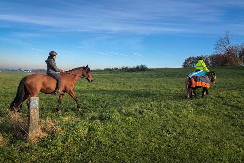 Ausreiten mit Dolida im November 2021