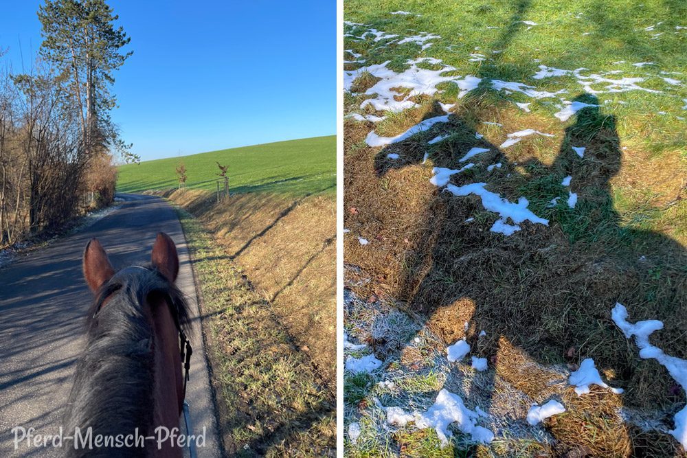Ausreiten mit Dolida