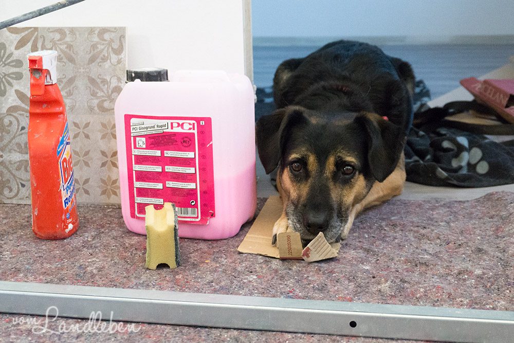 Innenausbau im Danhaus: Nala