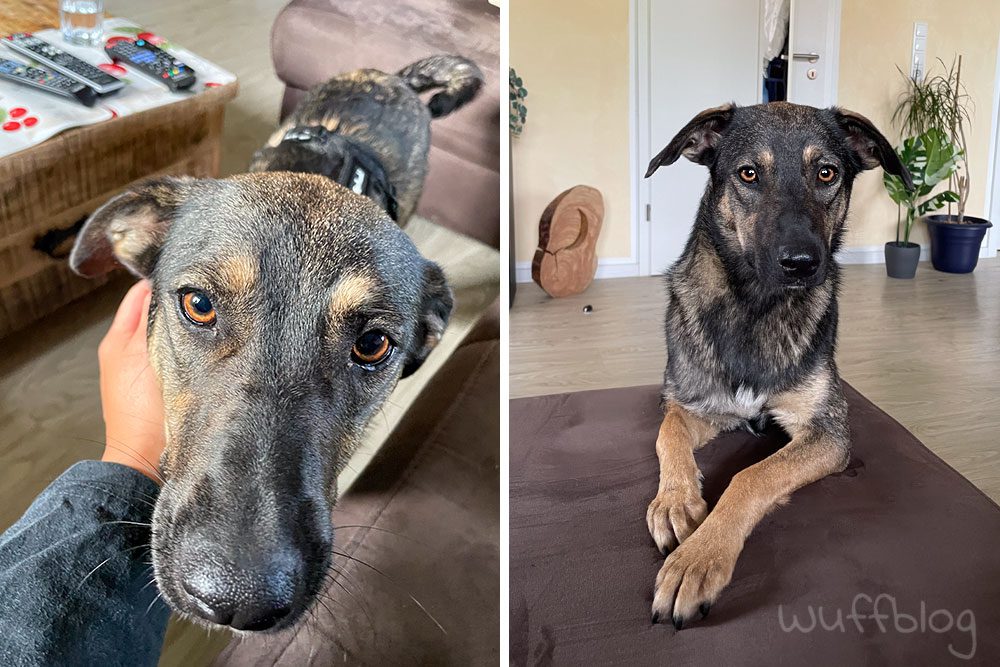 Bonnies erster Morgen