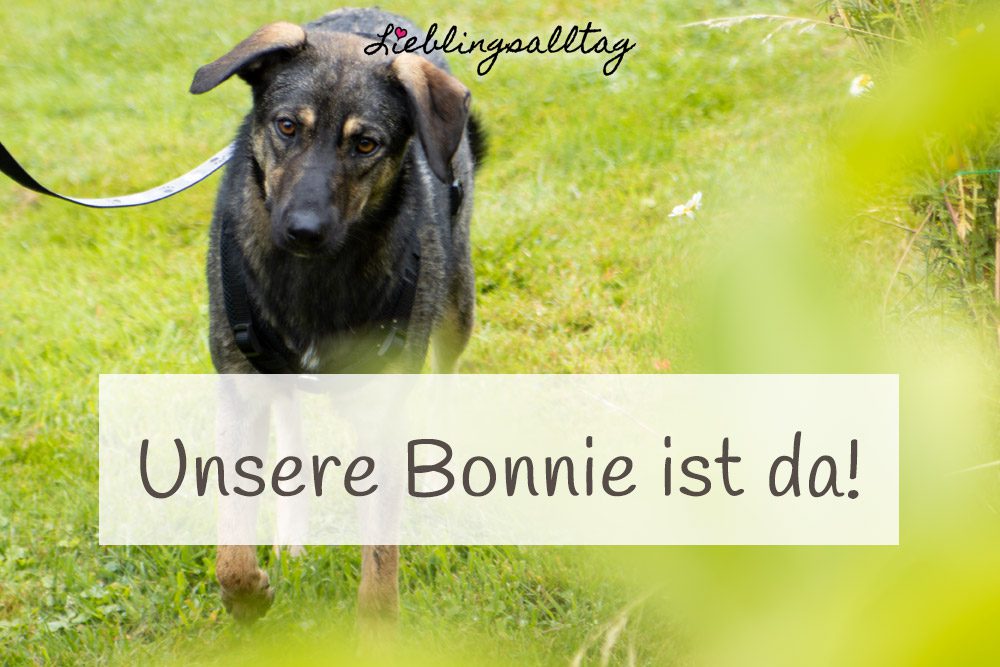 Unsere Bonnie ist da!