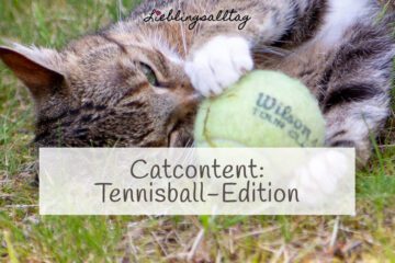 Catcontent Tennisball-Edition