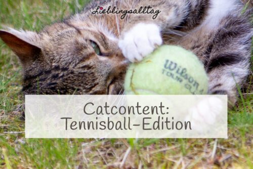 Catcontent Tennisball-Edition