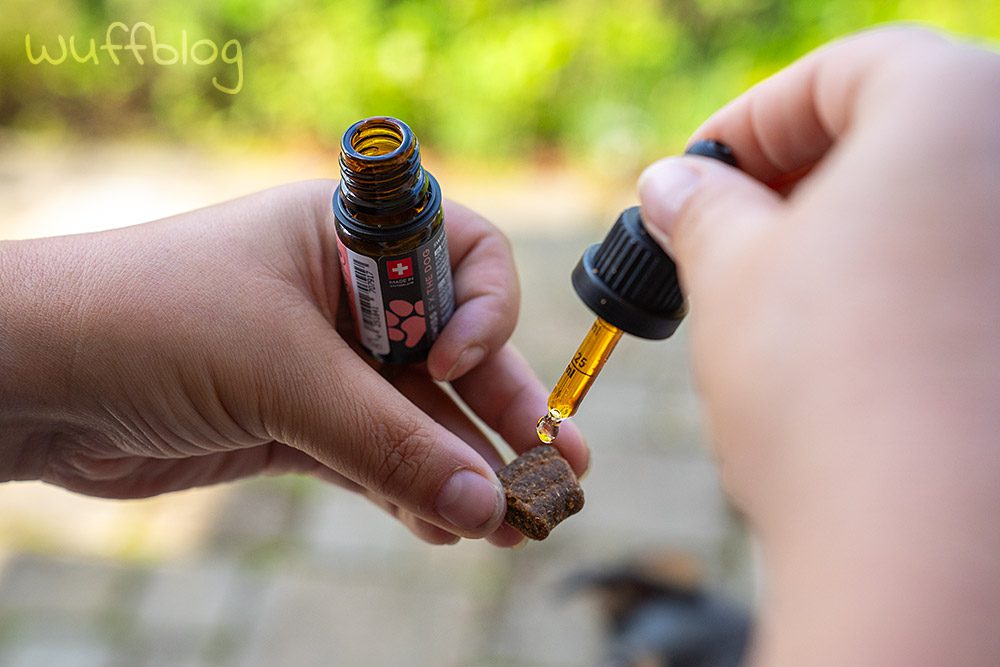 CBD-Öl für Hunde von Swiss FX