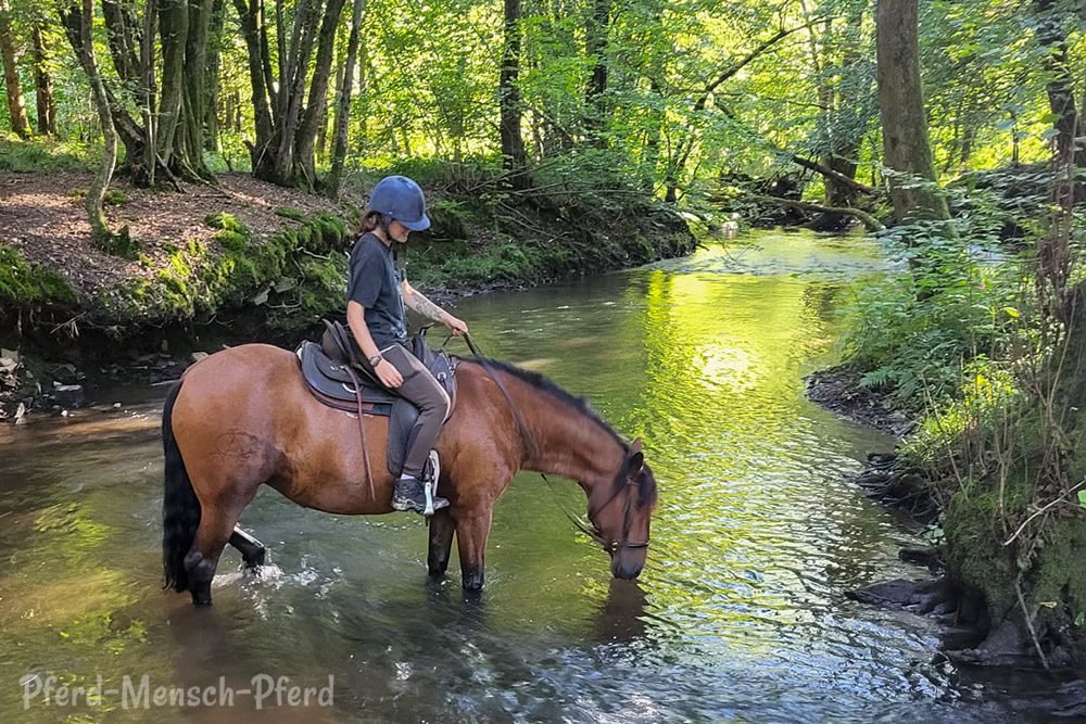 Dolida und Anne im Bach – September 2023