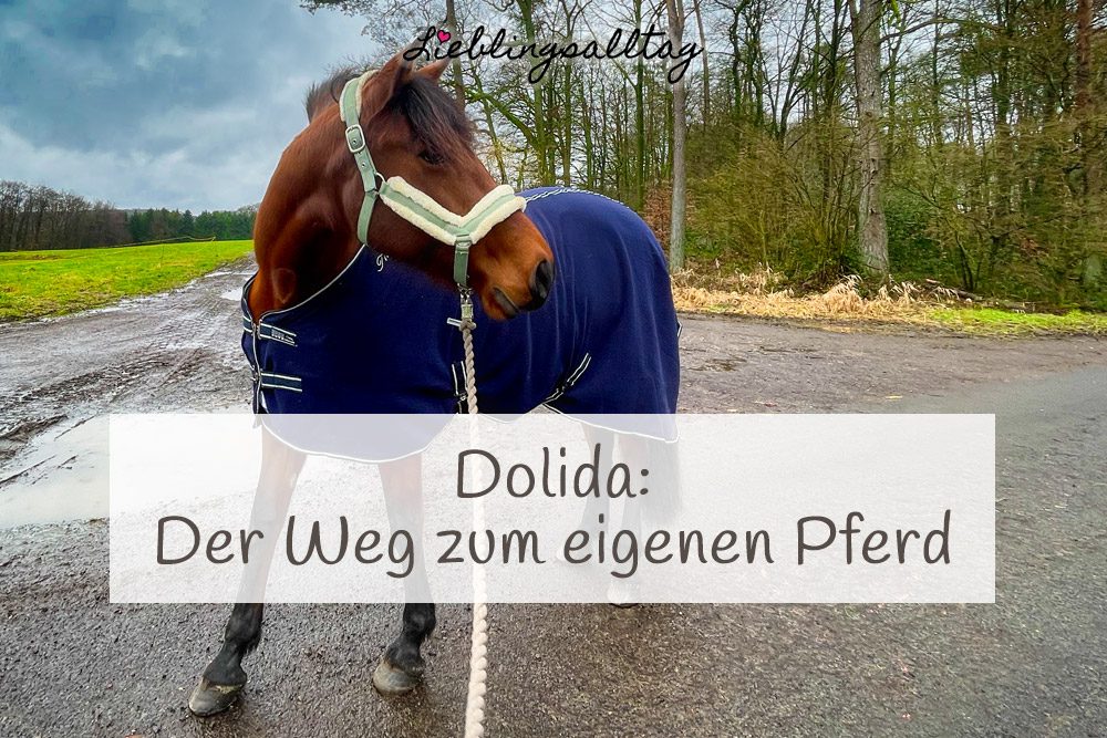 Dolida – der Weg zum eigenen Pferd