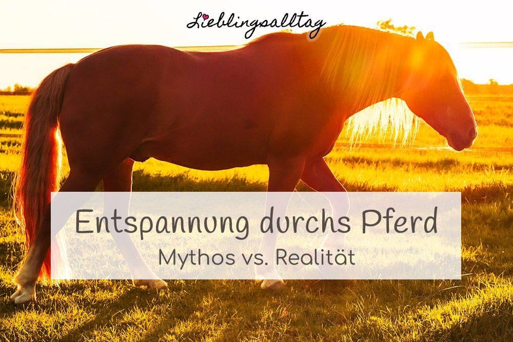 Entspannung durchs Pferd – Mythos vs. Realität