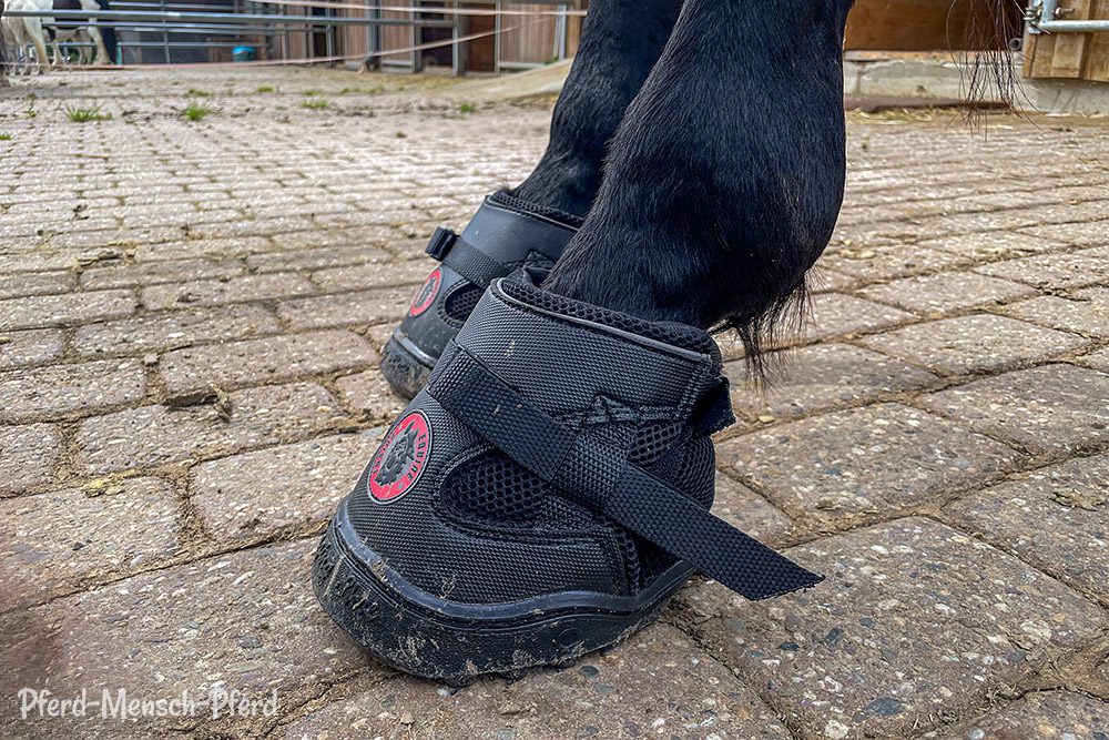 Hufschuhe: Equine Fusion